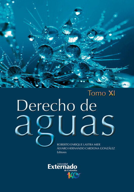 Derecho de aguas. Tomo XI. Gob...