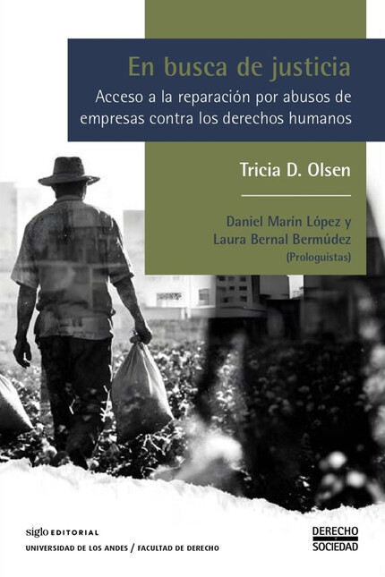 En busca de justicia. Acceso a...