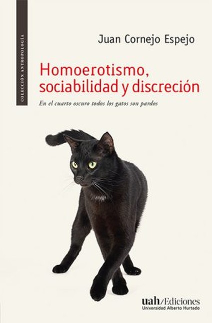 Homoerotismo, sociabilidad y d...