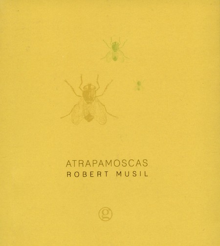 Atrapamoscas