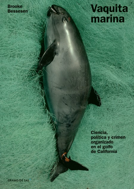 Vaquita marina