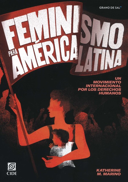 Feminismo para América Latina....